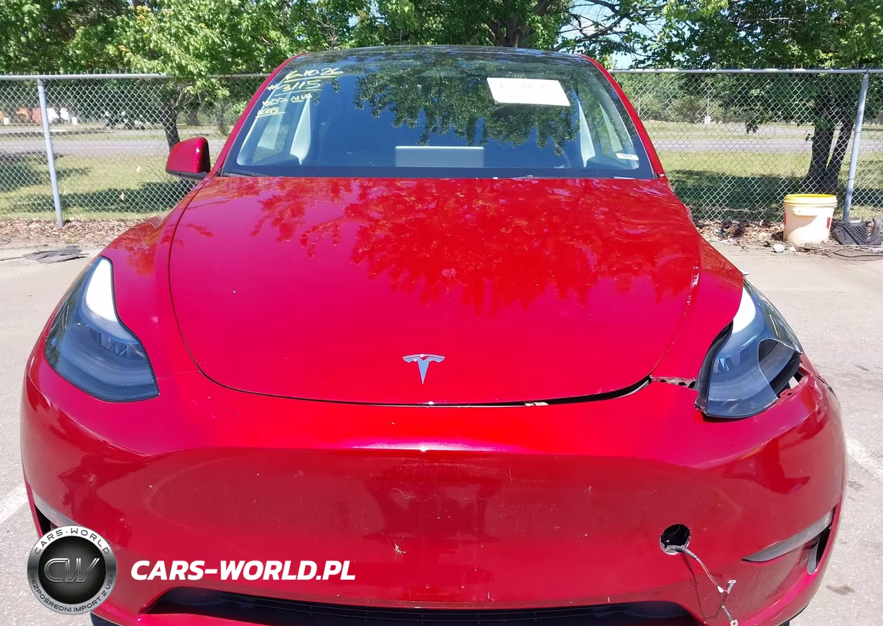 2024 Tesla Model Y Long Range Dual Motor All-Wheel Drive VIN:7SAYGDEE2RA263115 - 6