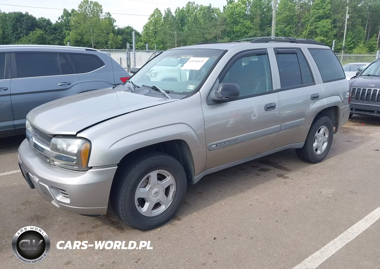 2003 Chevrolet Trailblazer Ls VIN:1GNDS13SX32195748 - 2