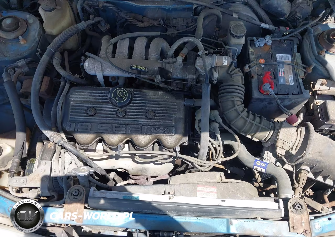1993 Ford Escort Lx VIN:1FAPP14JXPW218088 - 10