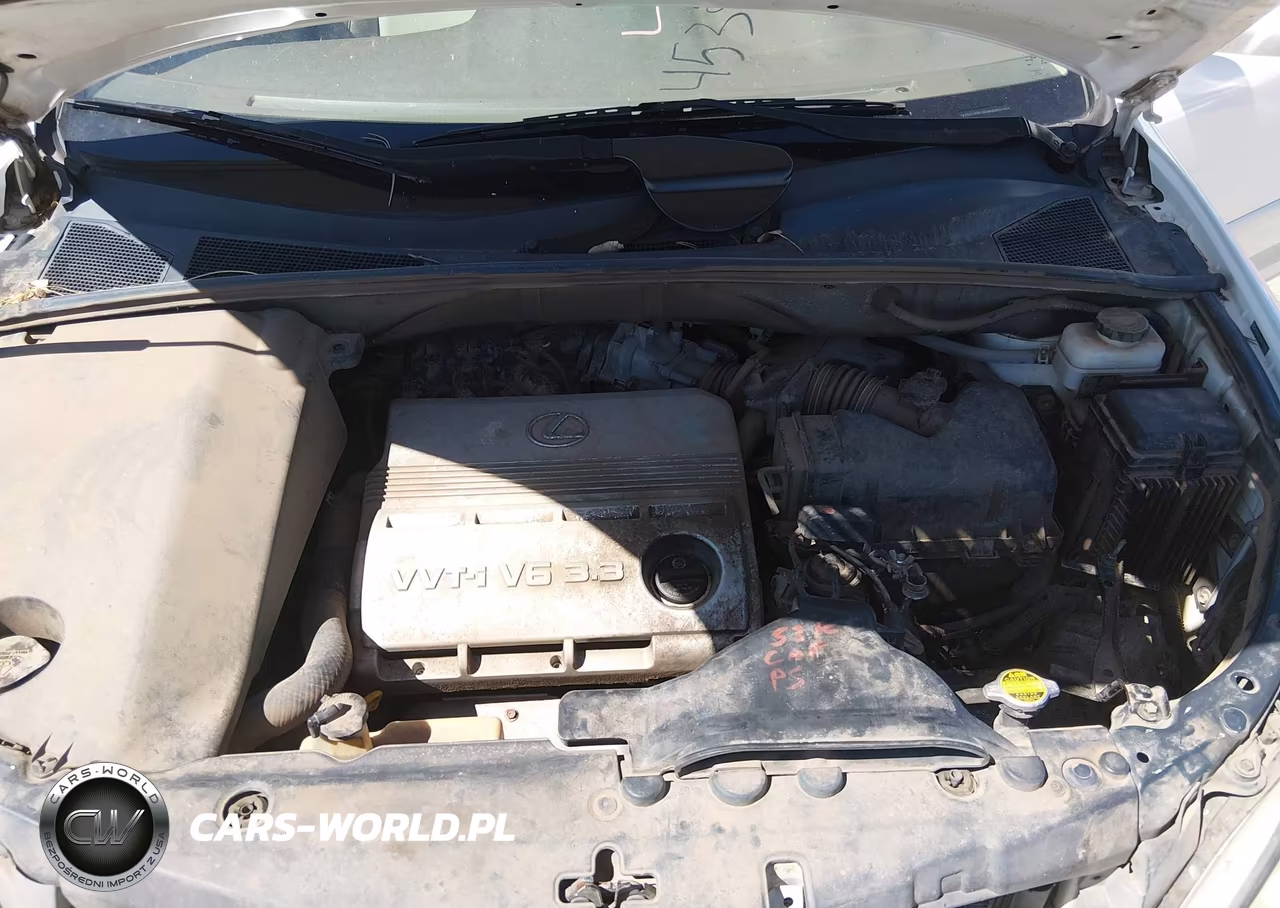 2004 Lexus Rx 330 VIN:2T2GA31U74C014855 - 10