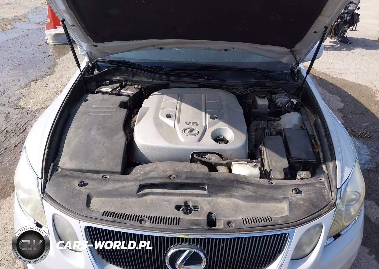 2006 Lexus Gs 300 VIN:JTHBH96S665001128 - 10