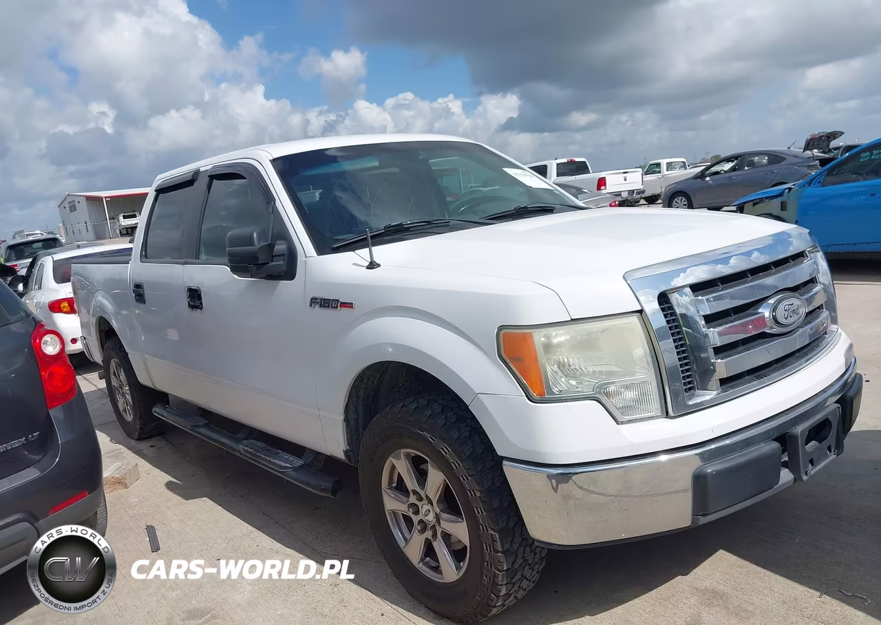 2009 Ford F-150 Xl-Xlt VIN:1FTRW12829FA73508 - 13