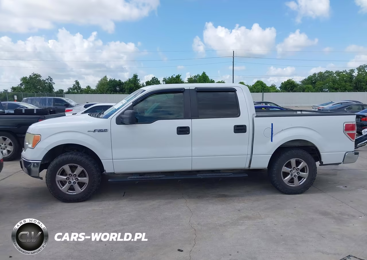 2009 Ford F-150 Xl-Xlt VIN:1FTRW12829FA73508 - 14