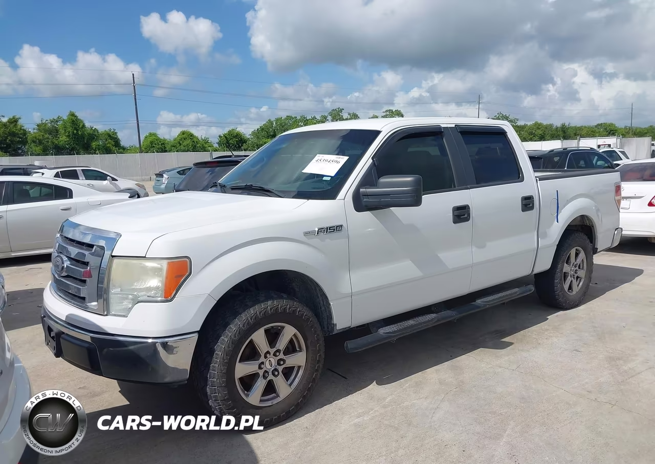 2009 Ford F-150 Xl-Xlt VIN:1FTRW12829FA73508 - 2