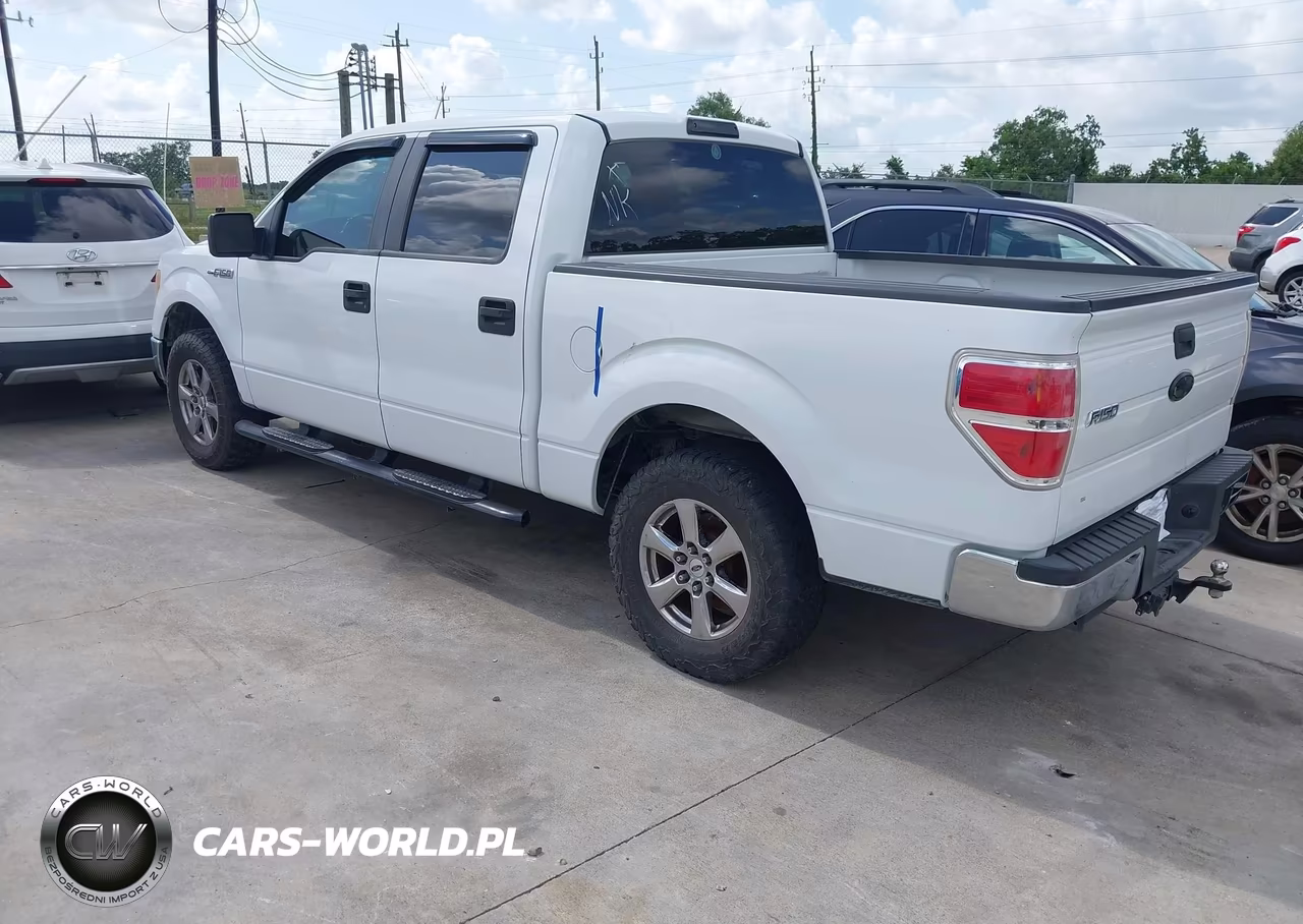 2009 Ford F-150 Xl-Xlt VIN:1FTRW12829FA73508 - 3