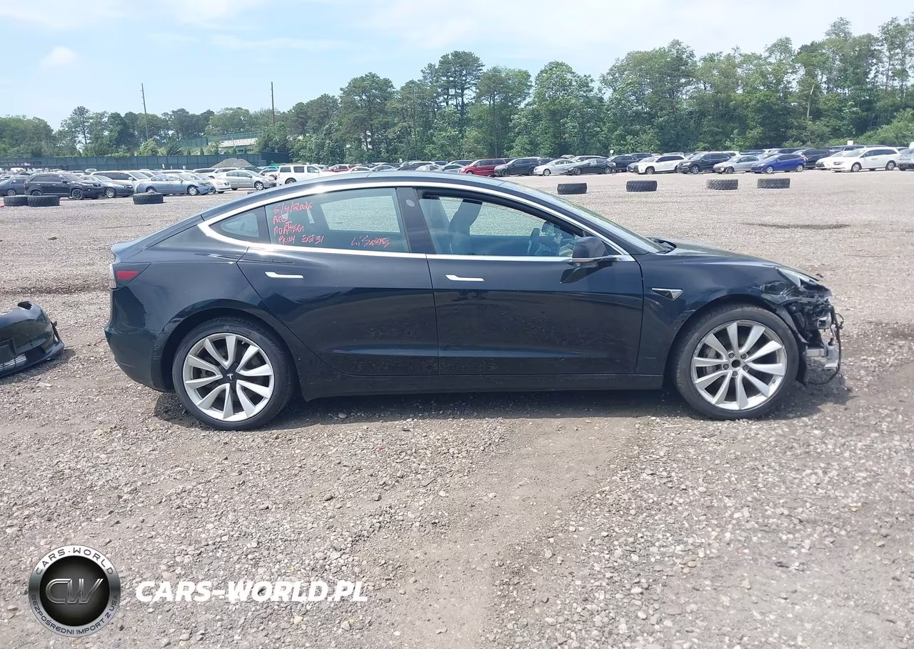 2019 Tesla Model 3 Long Range-Mid Range-Standard Range-Standard Range Plus VIN:5YJ3E1EA7KF466597 - 13