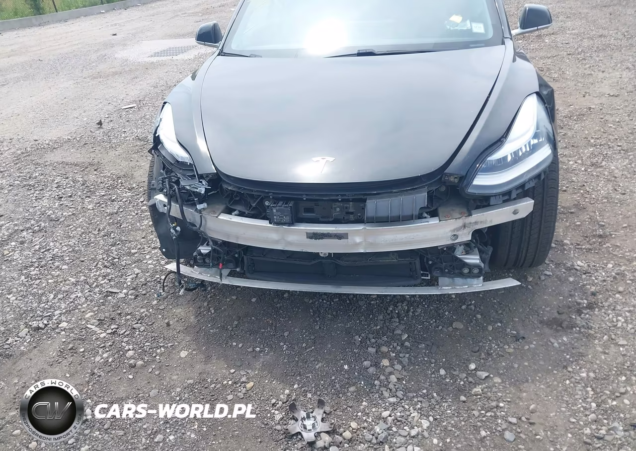 2019 Tesla Model 3 Long Range-Mid Range-Standard Range-Standard Range Plus VIN:5YJ3E1EA7KF466597 - 6