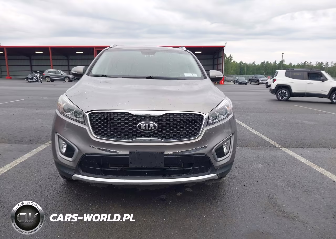 2016 Kia Sorento 3.3L Ex VIN:5XYPHDA59GG120800 - 12