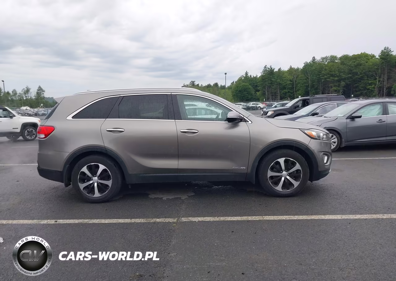 2016 Kia Sorento 3.3L Ex VIN:5XYPHDA59GG120800 - 13