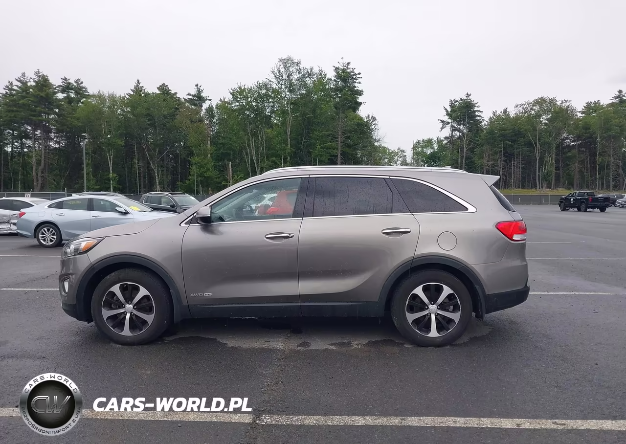 2016 Kia Sorento 3.3L Ex VIN:5XYPHDA59GG120800 - 14