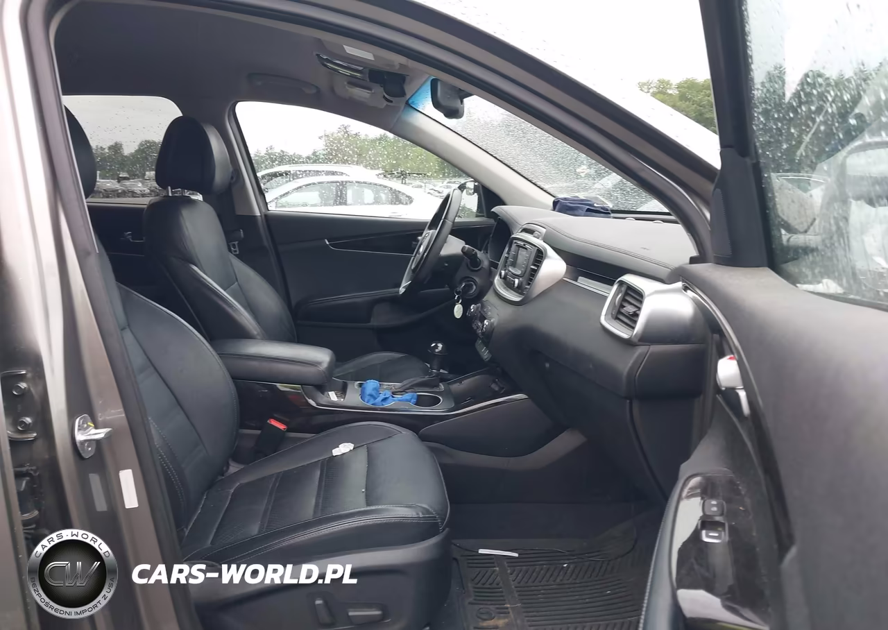 2016 Kia Sorento 3.3L Ex VIN:5XYPHDA59GG120800 - 5