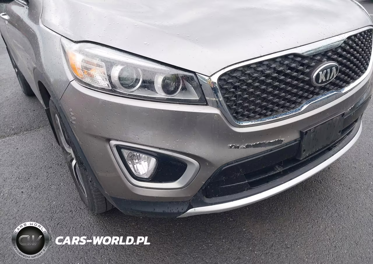 2016 Kia Sorento 3.3L Ex VIN:5XYPHDA59GG120800 - 6