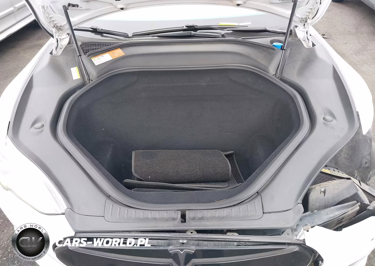 2015 Tesla Model S 85D-P85D VIN:5YJSA1E42FF120299 - 10