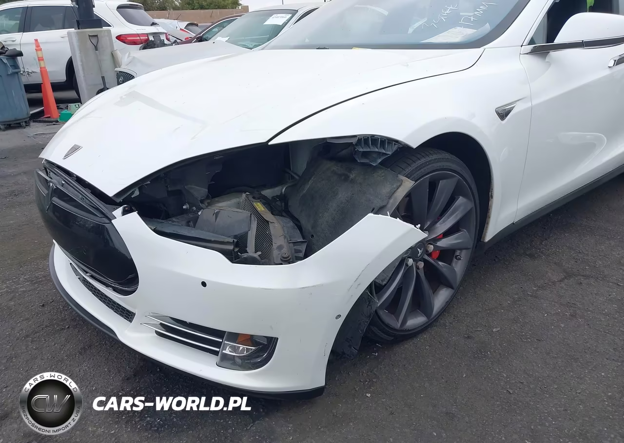 2015 Tesla Model S 85D-P85D VIN:5YJSA1E42FF120299 - 6