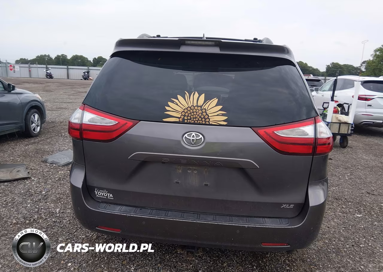 2018 Toyota Sienna Xle 8 Passenger VIN:5TDYZ3DC3JS953735 - 16