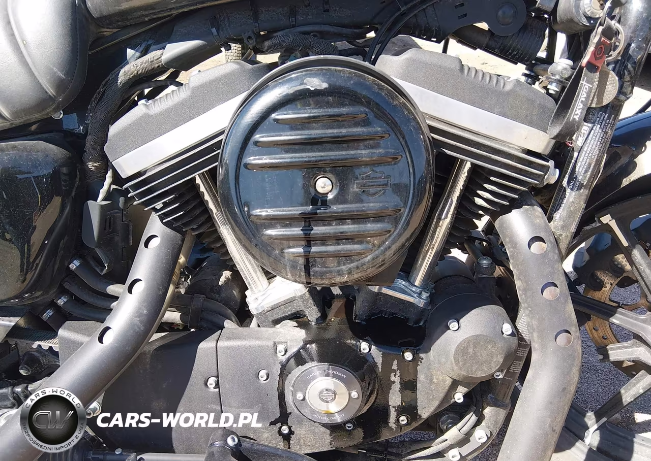 2020 Harley-Davidson Xl883 N VIN:1HD4LE215LB422185 - 8