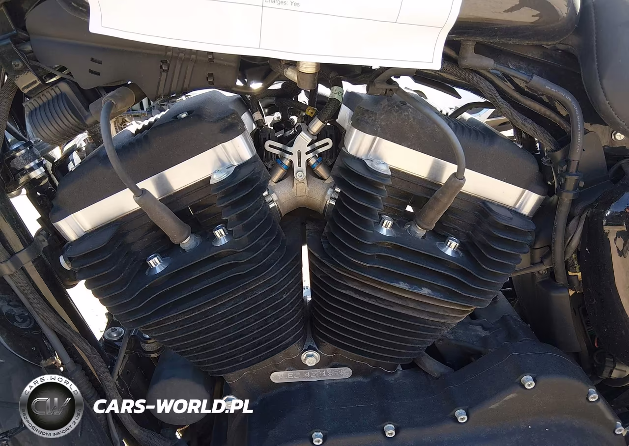 2020 Harley-Davidson Xl883 N VIN:1HD4LE215LB422185 - 9