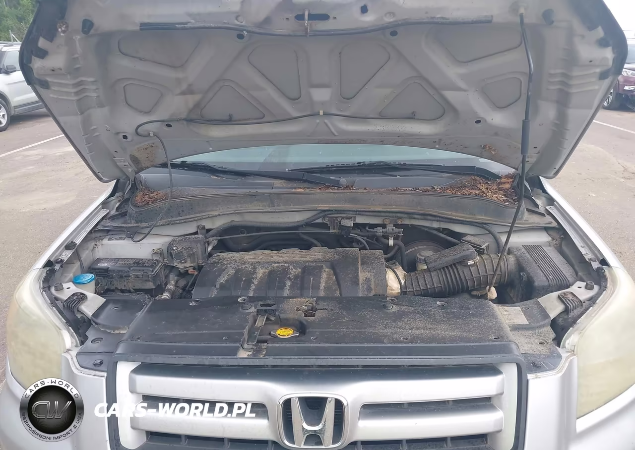 2006 Honda Pilot Lx VIN:2HKYF18126H520894 - 10