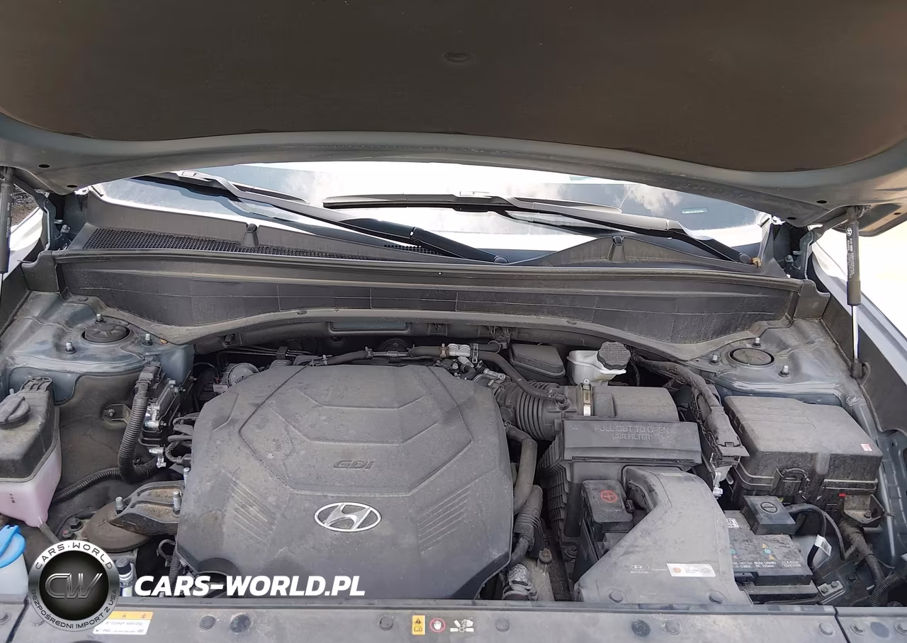 2024 Hyundai Palisade Calligraphy VIN:KM8R7DGE2RU707081 - 10