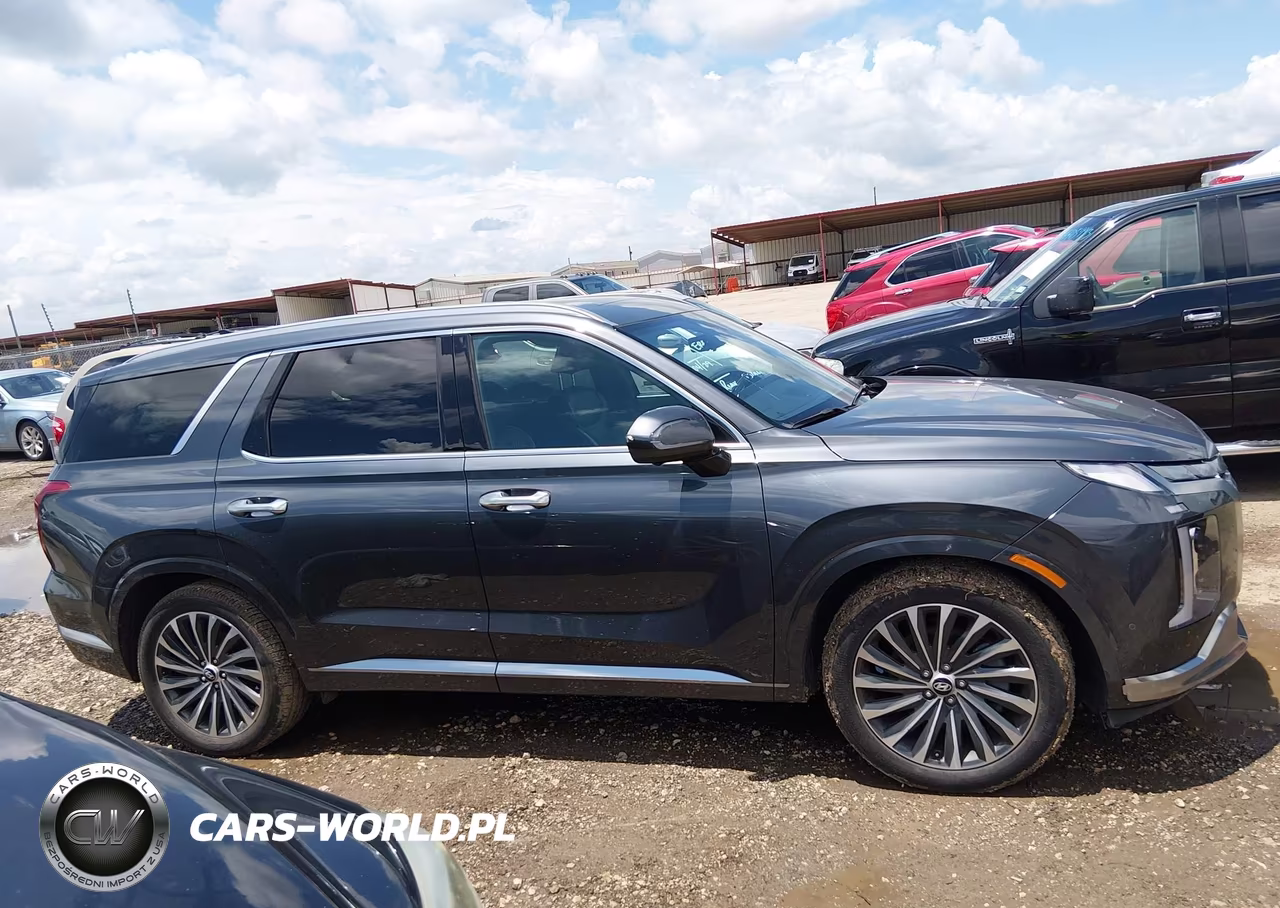 2024 Hyundai Palisade Calligraphy VIN:KM8R7DGE2RU707081 - 13
