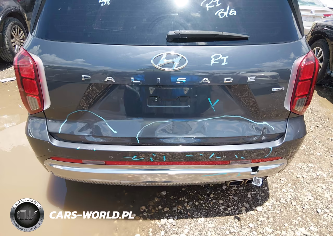 2024 Hyundai Palisade Calligraphy VIN:KM8R7DGE2RU707081 - 6