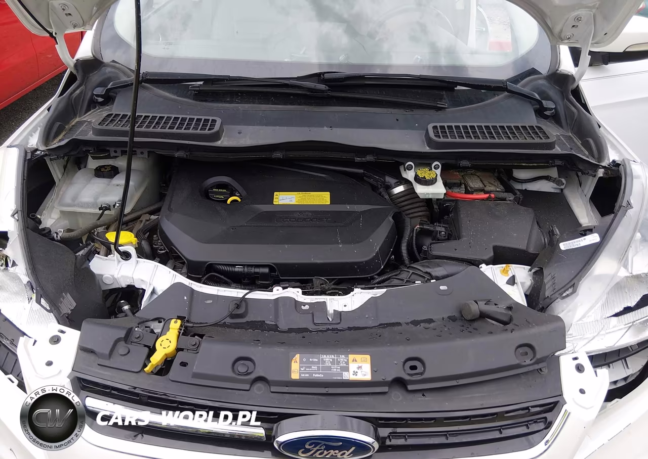 2013 Ford Escape Sel VIN:1FMCU0HX9DUD89234 - 10