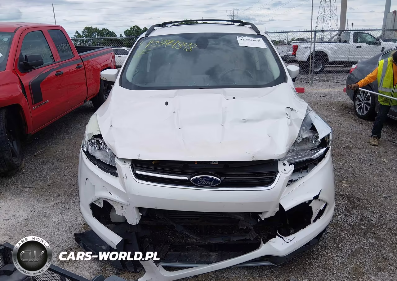 2013 Ford Escape Sel VIN:1FMCU0HX9DUD89234 - 12