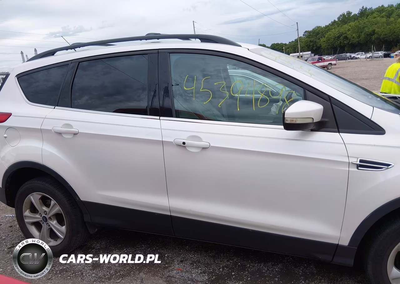 2013 Ford Escape Sel VIN:1FMCU0HX9DUD89234 - 13