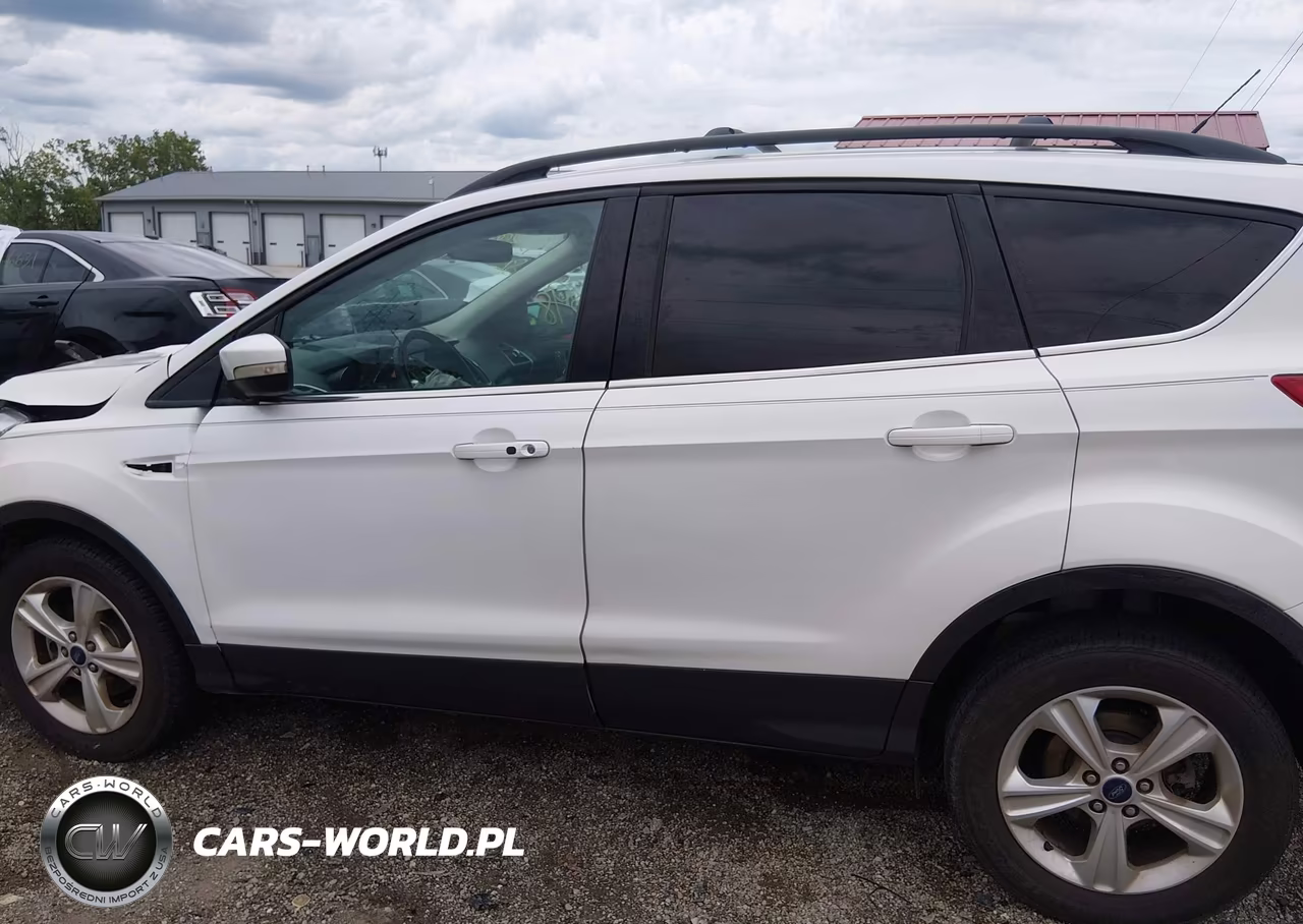 2013 Ford Escape Sel VIN:1FMCU0HX9DUD89234 - 14