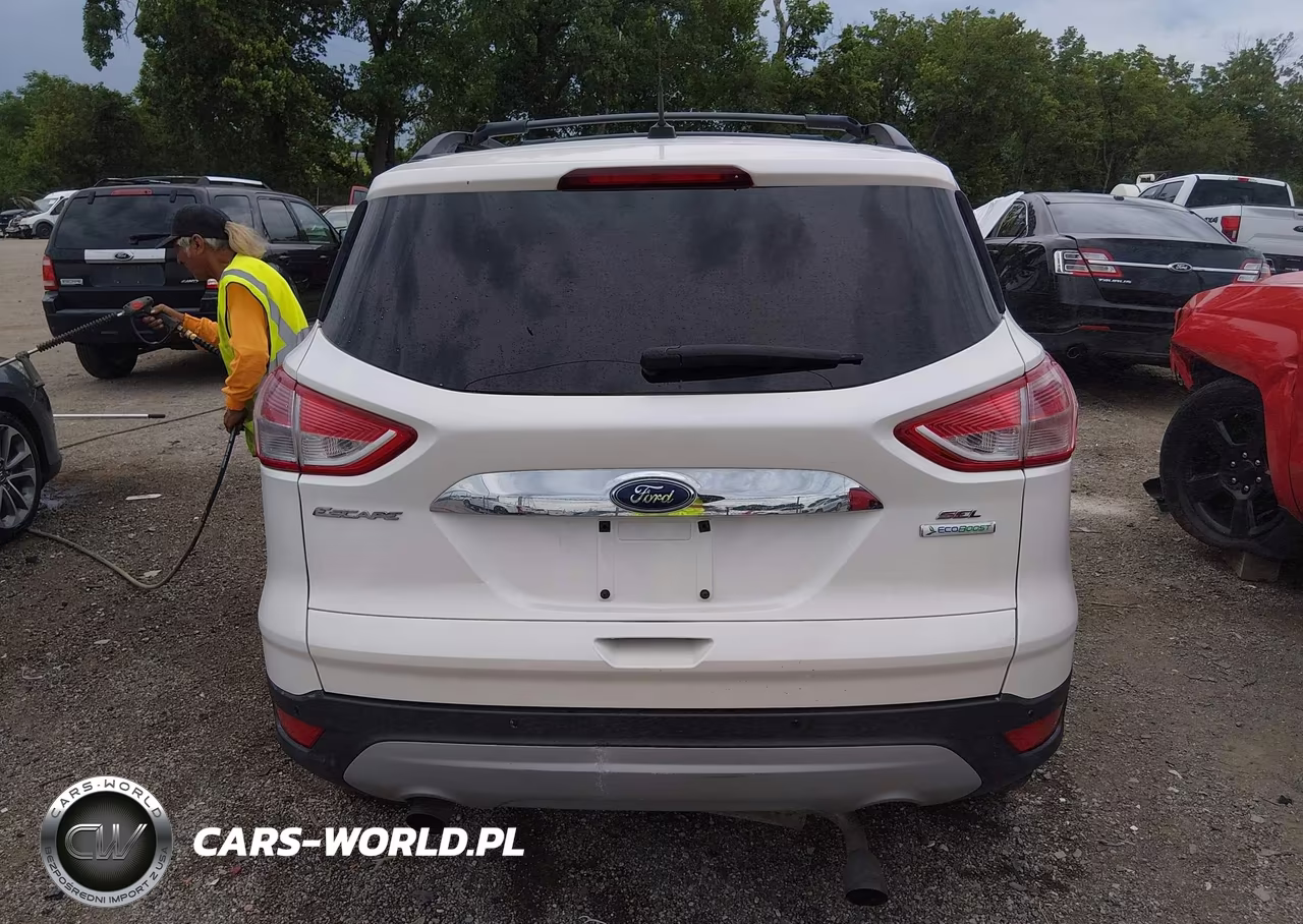 2013 Ford Escape Sel VIN:1FMCU0HX9DUD89234 - 16