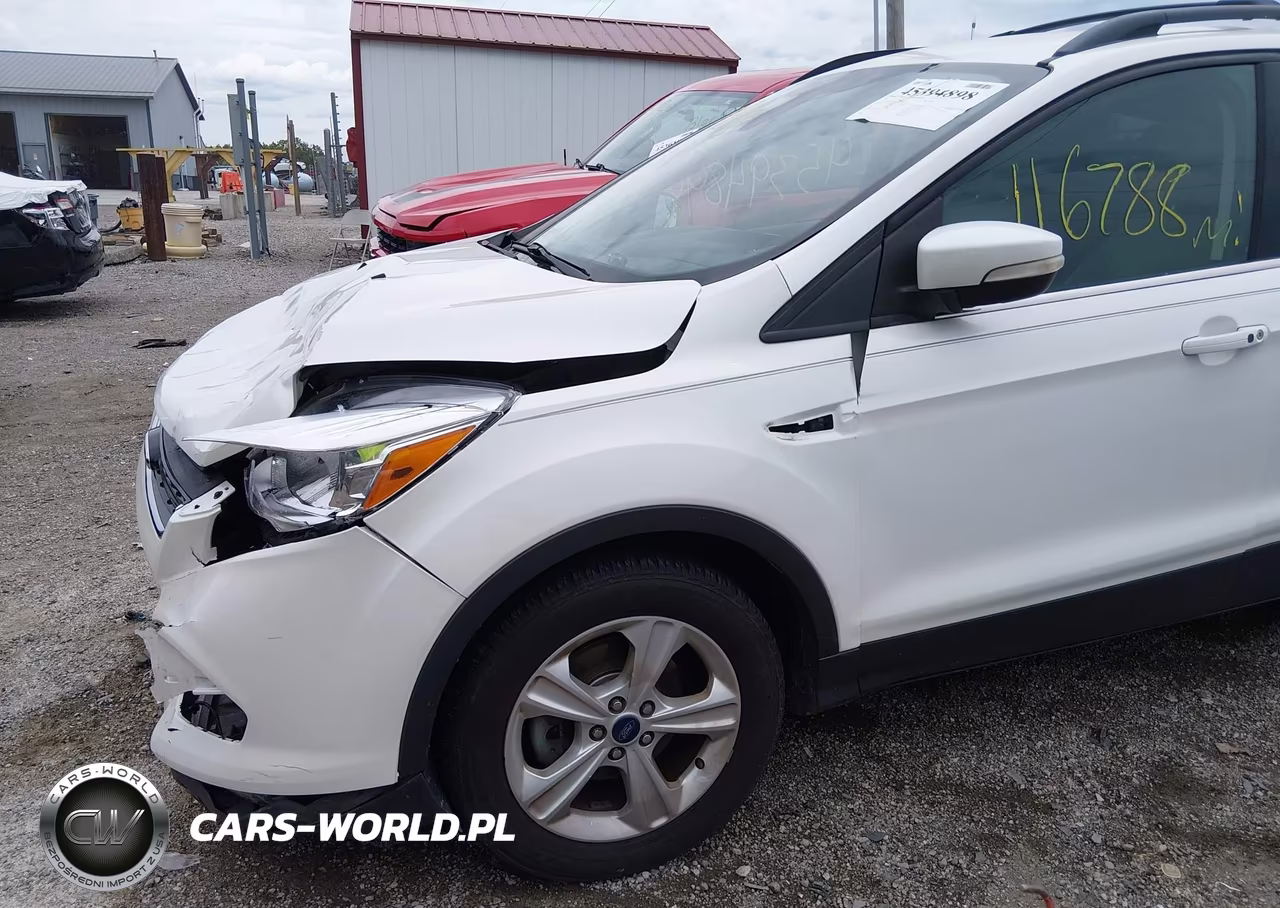 2013 Ford Escape Sel VIN:1FMCU0HX9DUD89234 - 17
