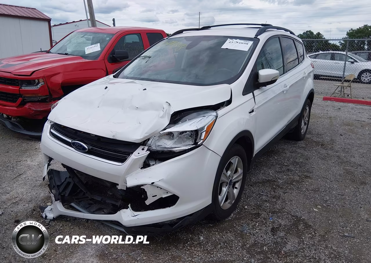 2013 Ford Escape Sel VIN:1FMCU0HX9DUD89234 - 2