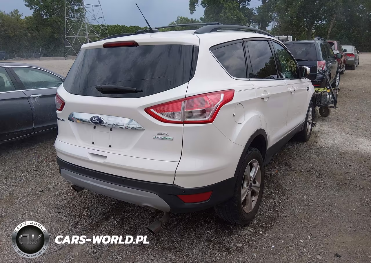 2013 Ford Escape Sel VIN:1FMCU0HX9DUD89234 - 4