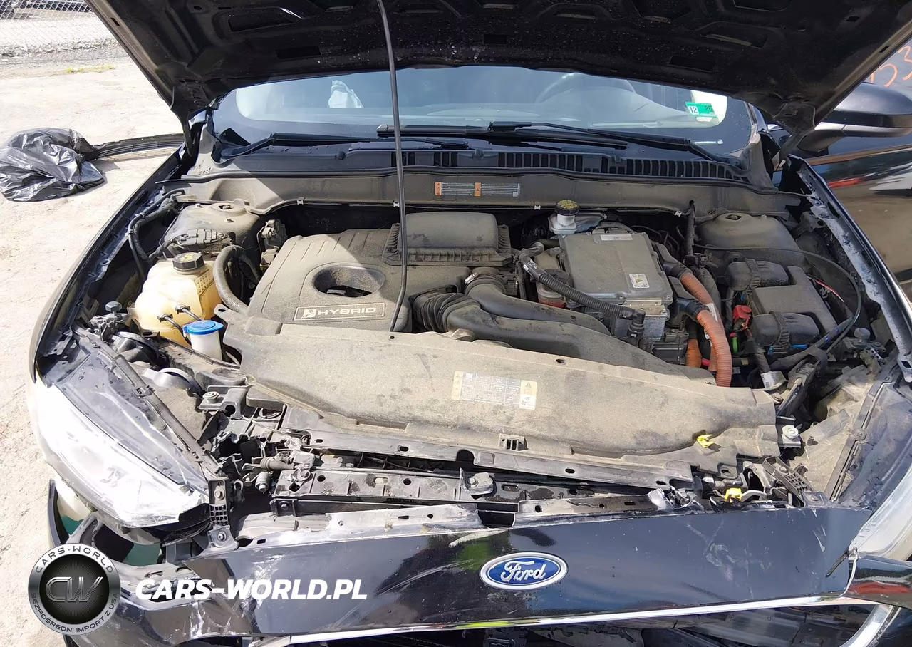 2019 Ford Fusion Hybrid Se VIN:3FA6P0LU3KR119111 - 10