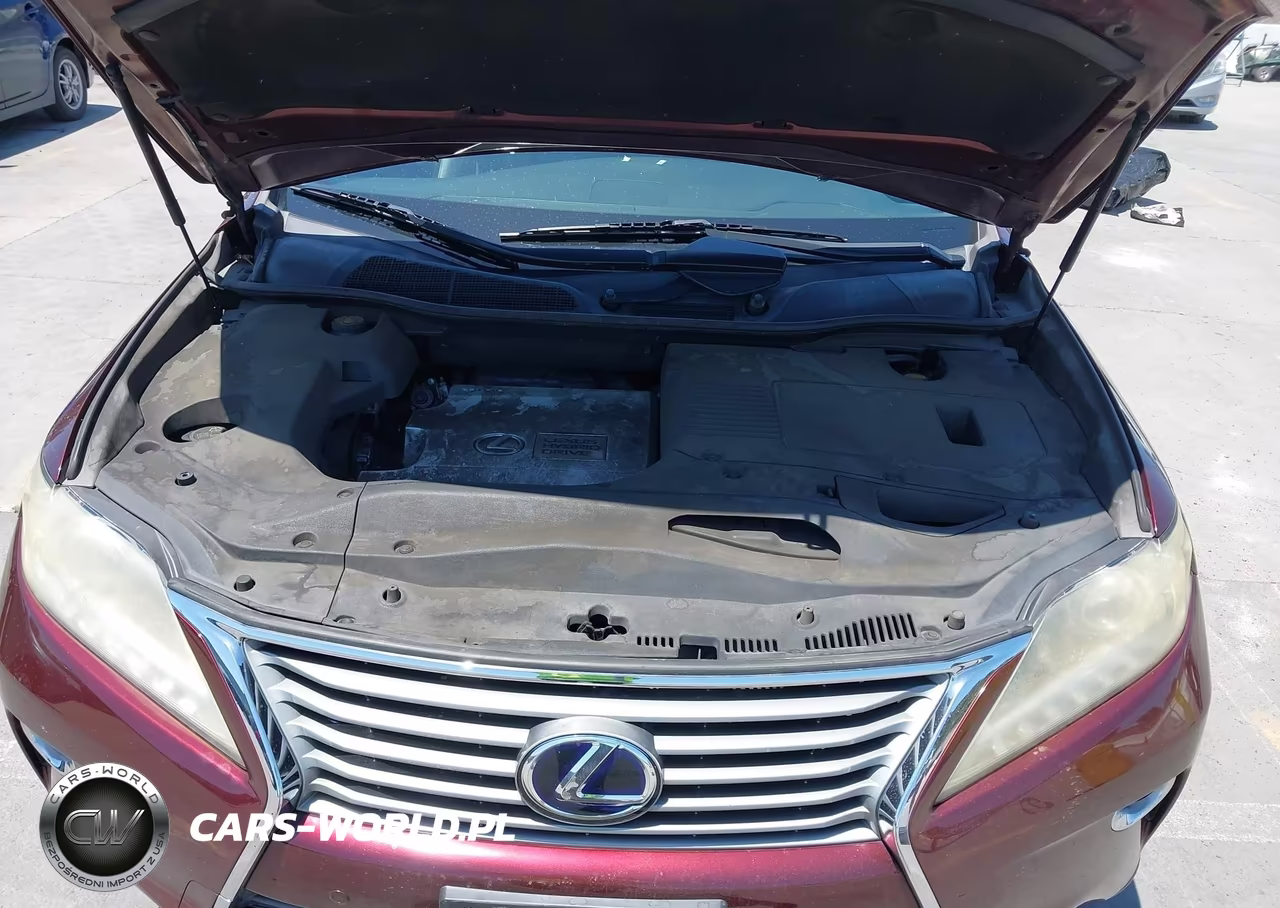 2013 Lexus Rx 450H VIN:JTJBC1BA2D2441843 - 10