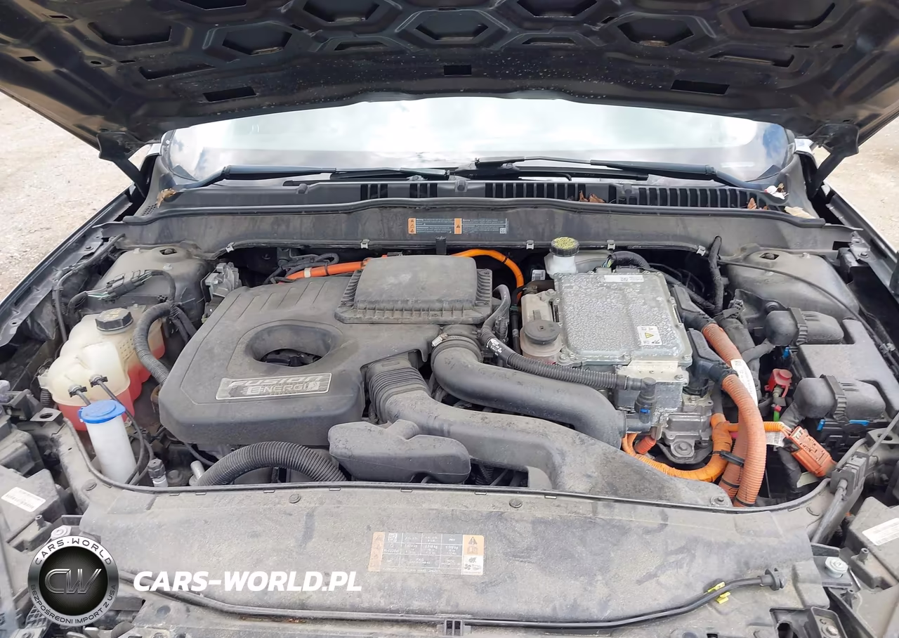 2019 Ford Fusion Energi Titanium VIN:3FA6P0SU6KR228194 - 10