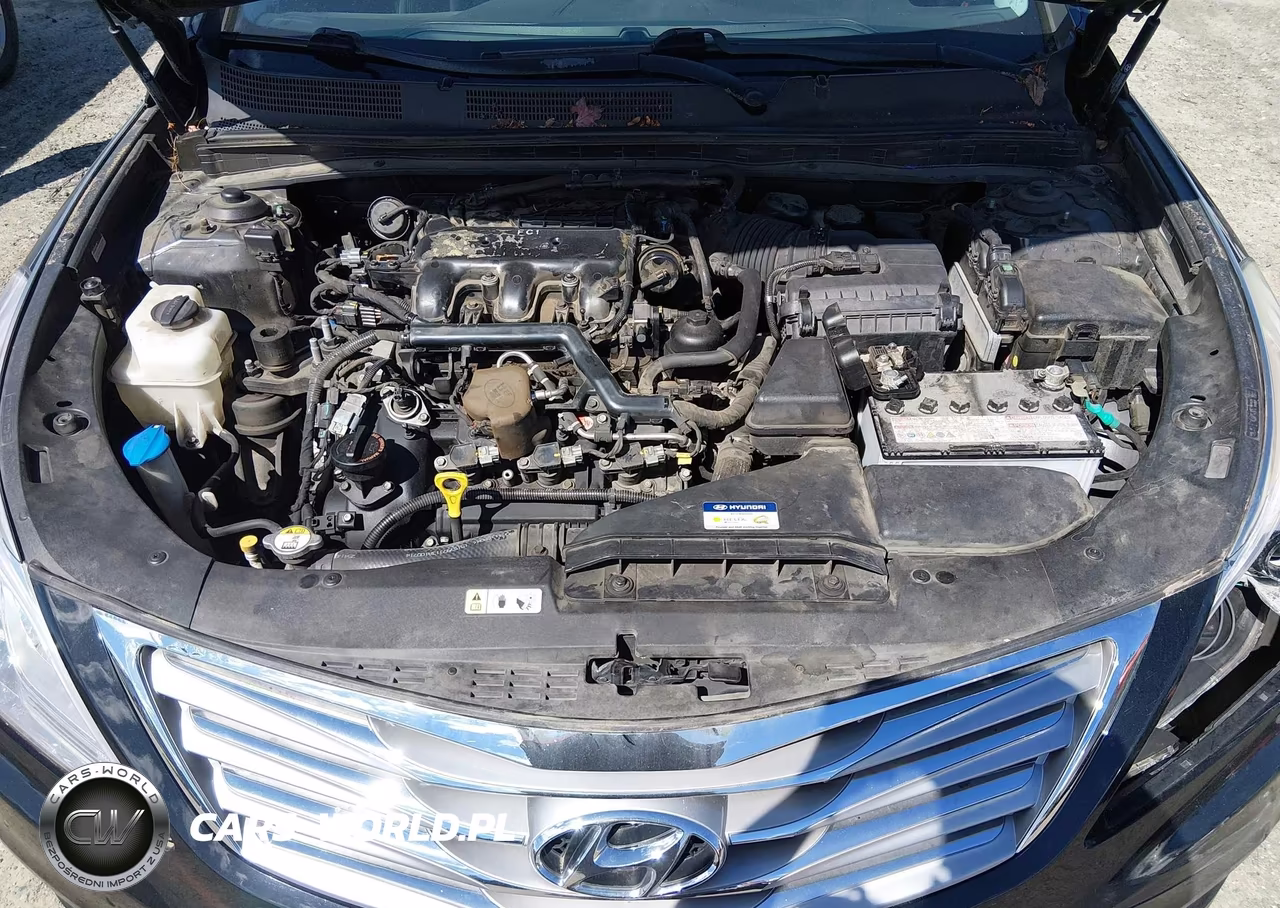 2013 Hyundai Azera VIN:KMHFG4JGXDA245781 - 10