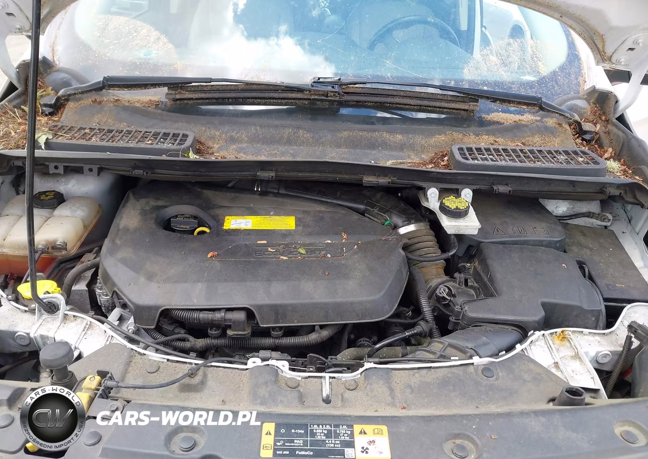 2016 Ford Escape Se VIN:1FMCU0GX7GUA22094 - 10