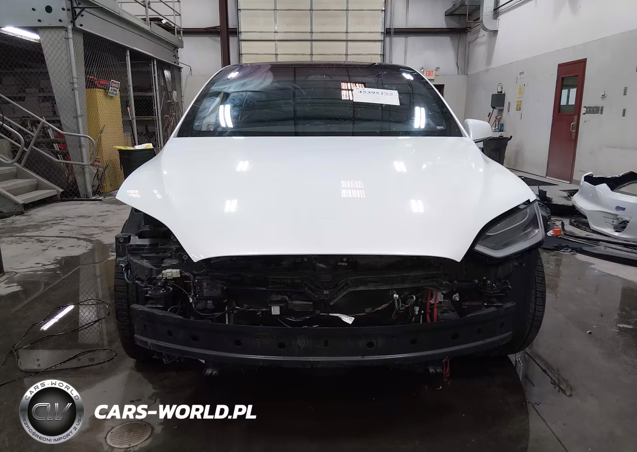 2018 Tesla Model X 100D-75D-P100D VIN:5YJXCDE23JF140599 - 13