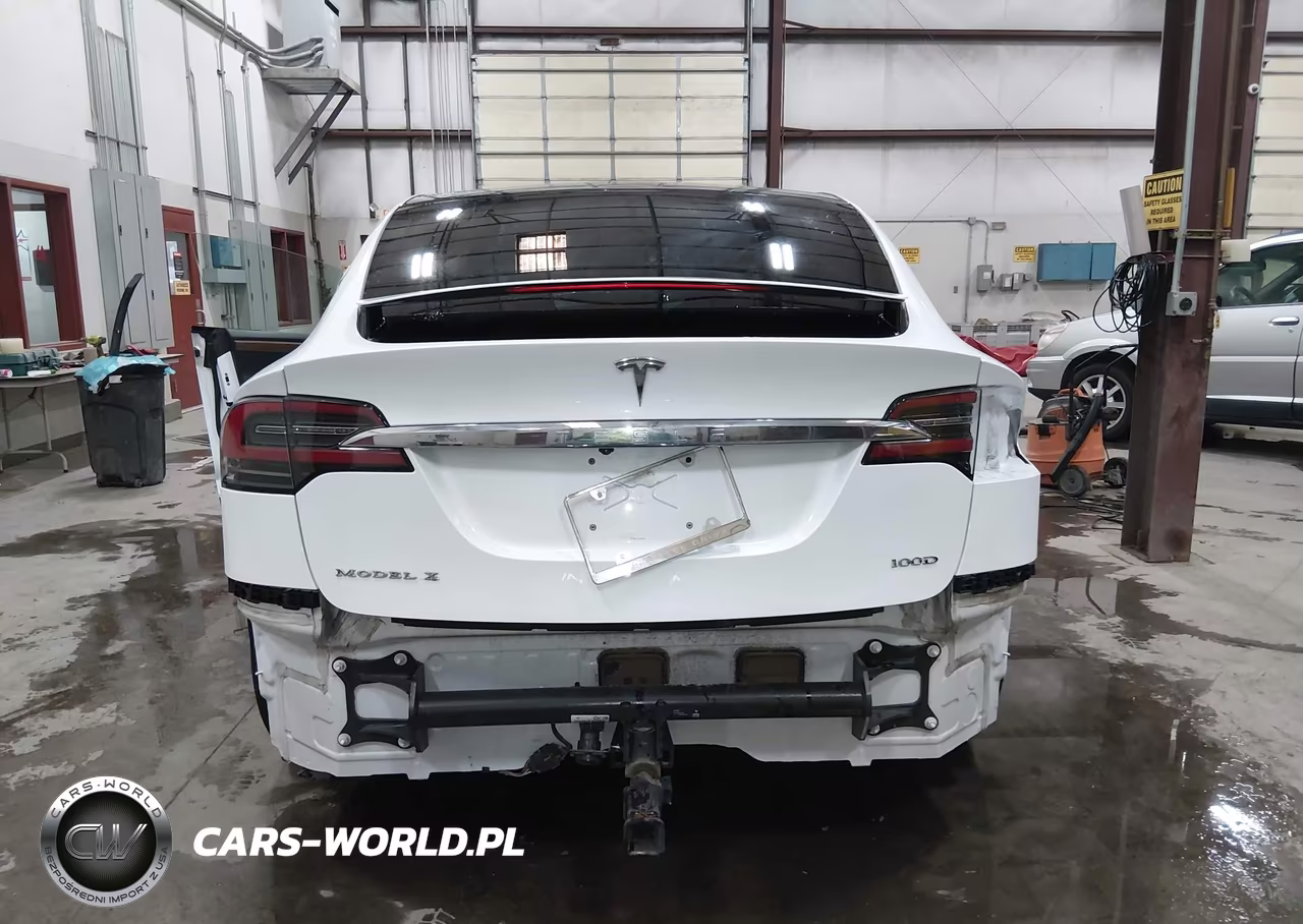 2018 Tesla Model X 100D-75D-P100D VIN:5YJXCDE23JF140599 - 17