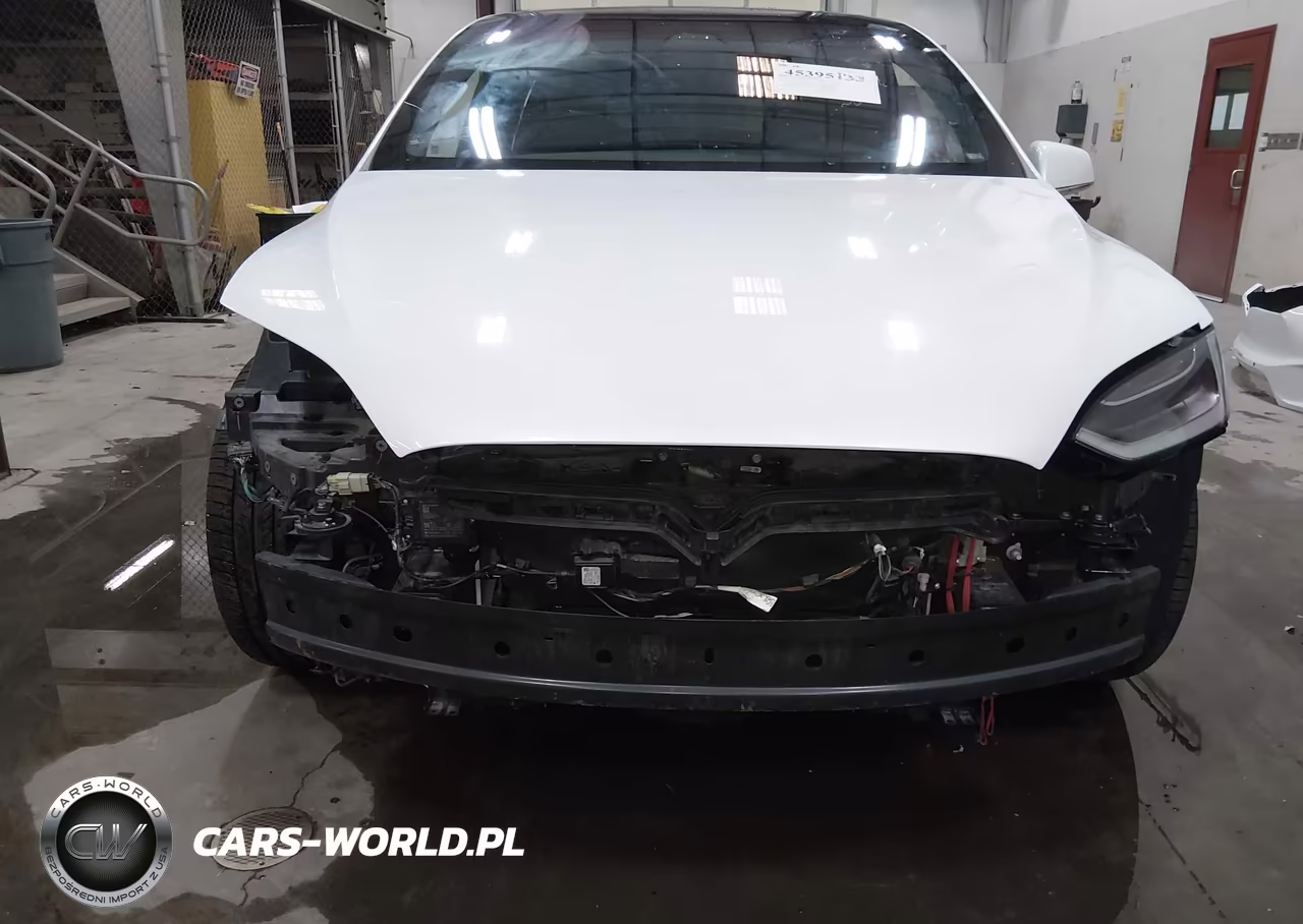 2018 Tesla Model X 100D-75D-P100D VIN:5YJXCDE23JF140599 - 6