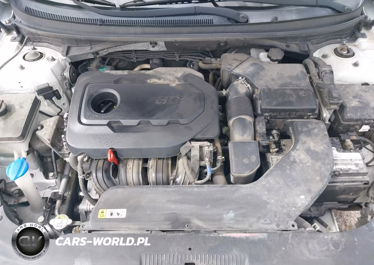 2017 Hyundai Sonata Se VIN:5NPE24AF1HH484186 - 10