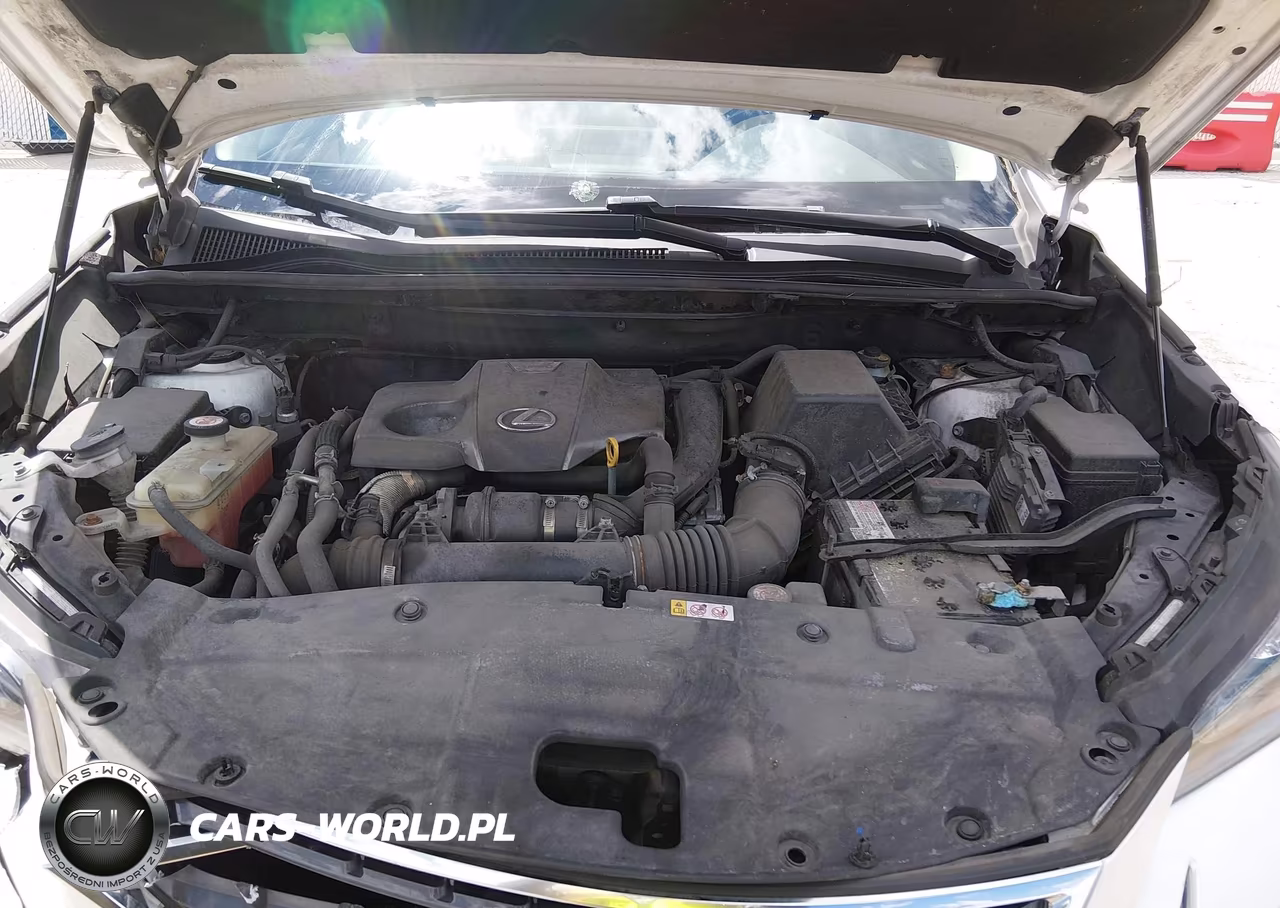 2020 Lexus Nx 300 VIN:JTJDARDZ2L5006673 - 10