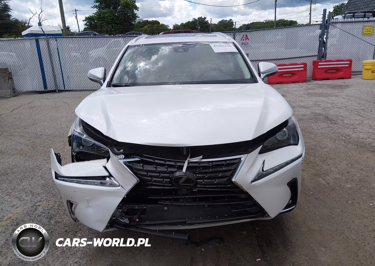2020 Lexus Nx 300 VIN:JTJDARDZ2L5006673 - 13