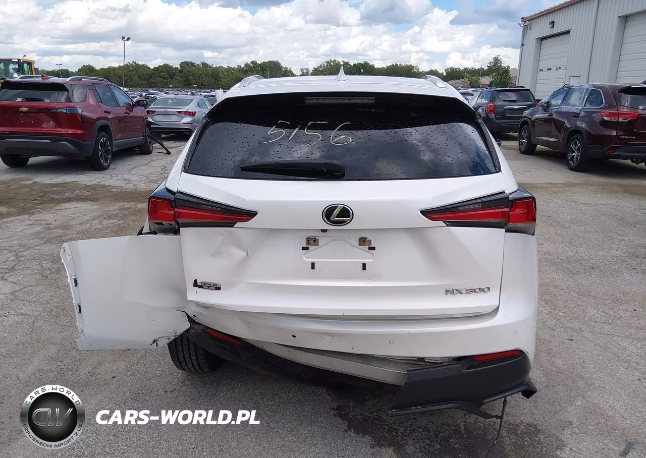2020 Lexus Nx 300 VIN:JTJDARDZ2L5006673 - 17