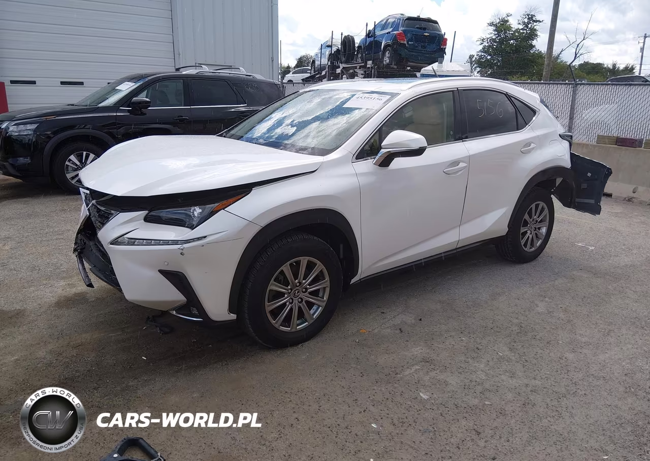 2020 Lexus Nx 300 VIN:JTJDARDZ2L5006673 - 2