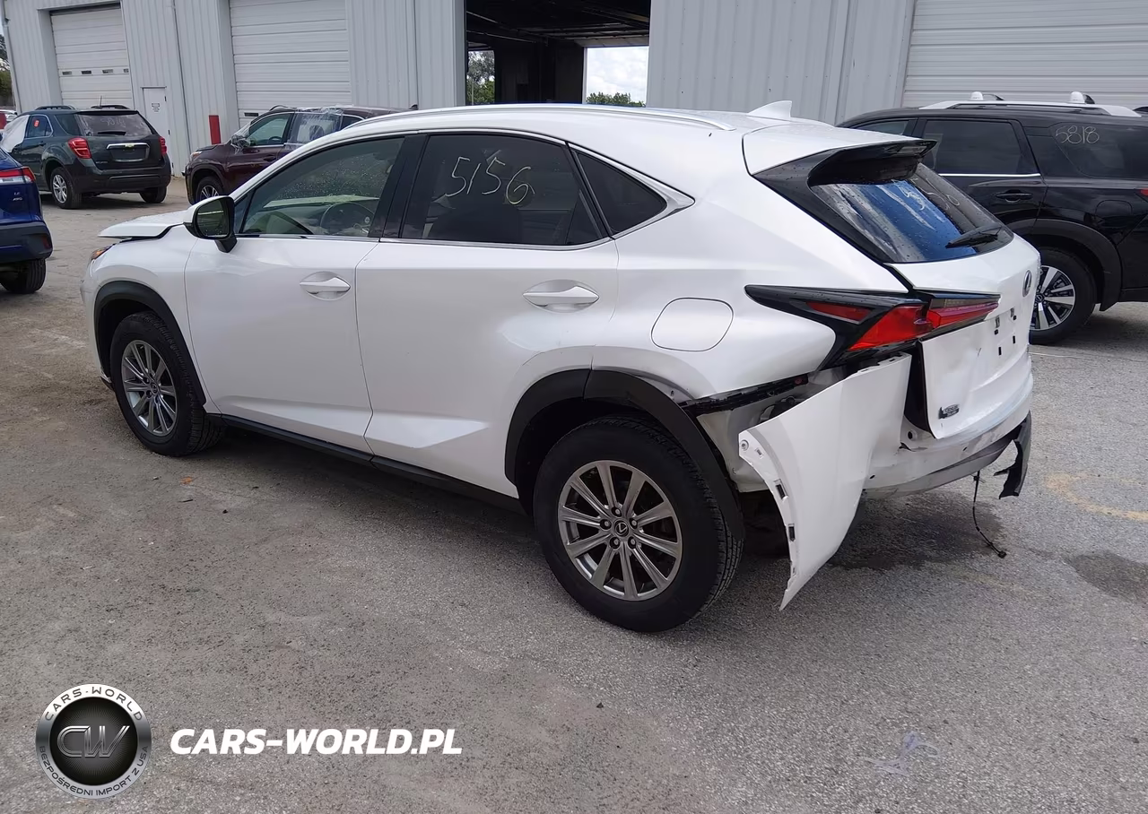 2020 Lexus Nx 300 VIN:JTJDARDZ2L5006673 - 3