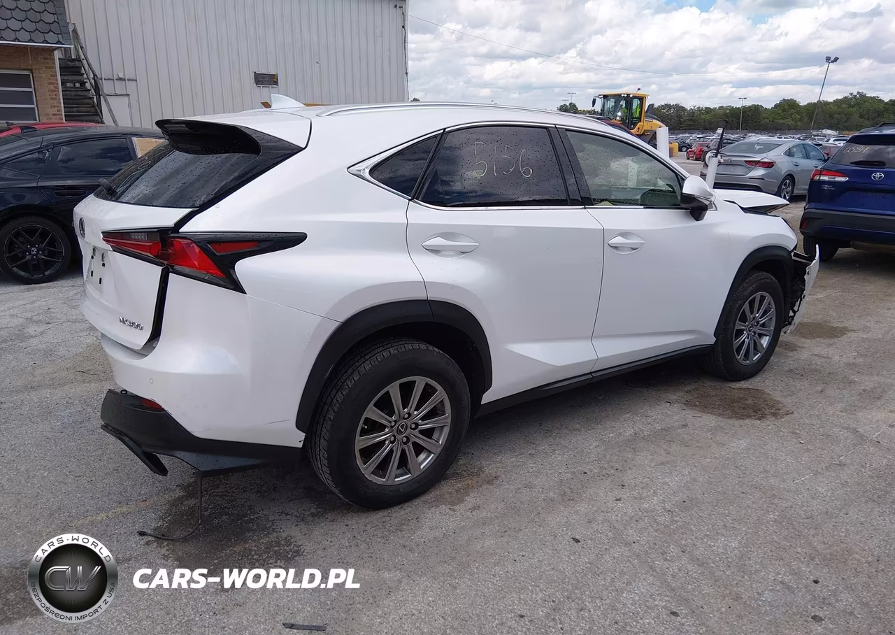 2020 Lexus Nx 300 VIN:JTJDARDZ2L5006673 - 4