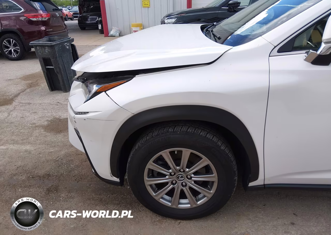 2020 Lexus Nx 300 VIN:JTJDARDZ2L5006673 - 6