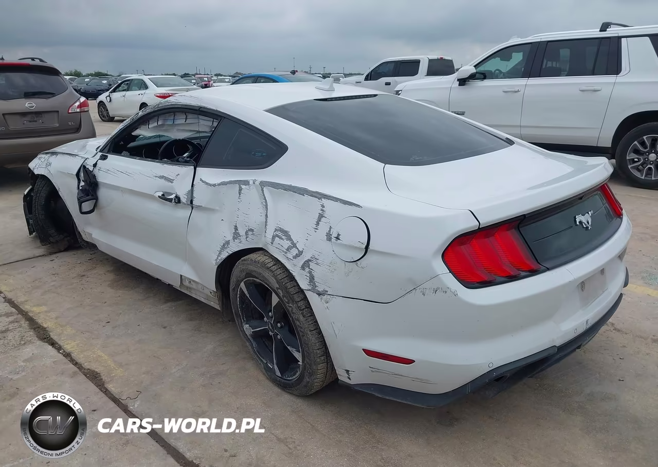 2021 Ford Mustang Ecoboost Fastback VIN:1FA6P8THXM5135023 - 3
